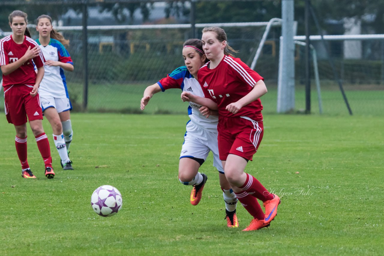 Bild 391 - B-Juniorinnen SV Henstedt Ulzburg - SV Wahlstedt : Ergebnis: 11:0